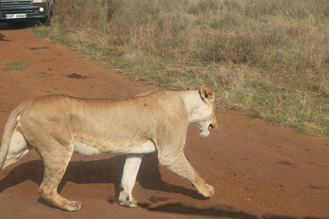 7 Day Tanzania visiting Arusha, Lake Manyara, Serengeti, Ngorongoro & Tarangire - Day 7: Lake Manyara before returning to Arusha