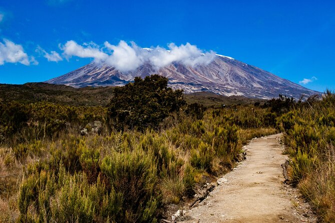 7 Day Tour Machame Route - Key points to know before booking