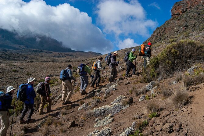 7 Day Tour Machame Route - Day 1: Machame Gate to Machame Camp