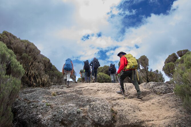 7 Day Trek To The Roof Of Africa Kilimanjaro via Machame Route - Day 7: Barafu Camp to Uhuru Peak and Mweka Camp