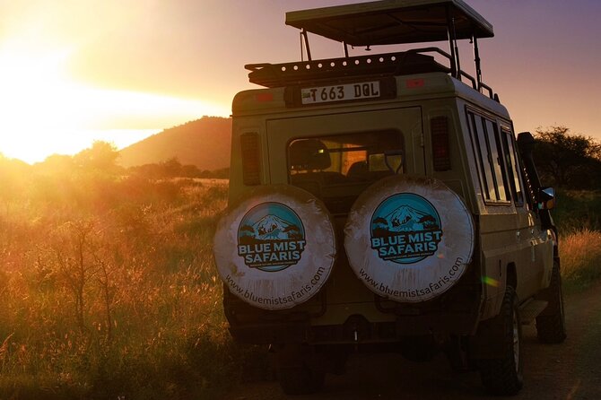 7 Days All inclusive Premium Safari Adventure in Tanzania - Key points to know before booking