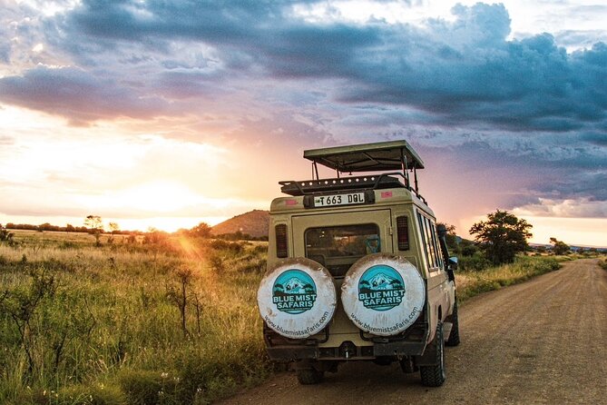 7 Days All inclusive Premium Safari Adventure in Tanzania - Day 5: Ngorongoro Crater and the best rhinoceros opportunity