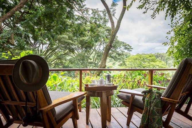 7 Days Best Luxury Safari To Tanzania - Day 5: From Ngorongoro to the Serengeti