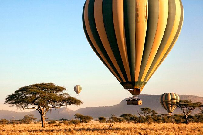 7 Days Best Luxury Safari To Tanzania - Day 2: Tarangire’s elephants and baobab country