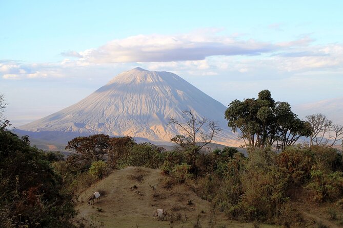 7 Days Cultural and Wildlife Safari - A seven-day safari with far more than the Big Five