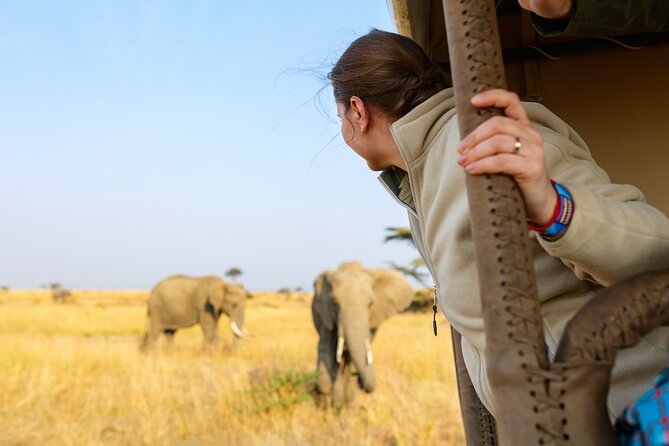 7 Days Cultural and Wildlife Safari - Day 5: A full Serengeti game drive