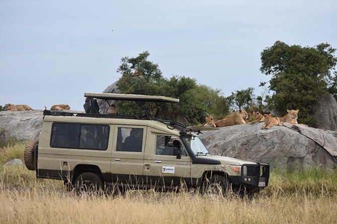 7 Days: Great Migration Mara River Crossing(manyara, Ngorongoro And Serengeti) - Day 3: Ngorongoro Crater and the search for rhino