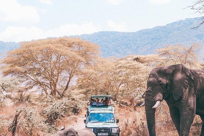 7 days great migration safari - Meals, lodging, and the real value of $4,514