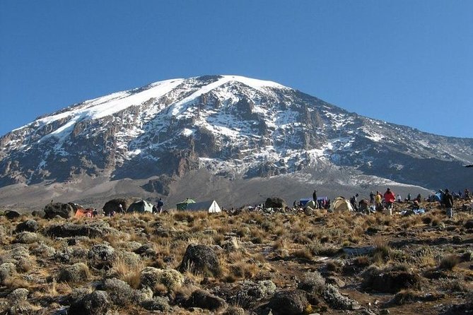 7 Days Kilimanjaro Climb Machame route - Day six: the midnight push to Uhuru Peak