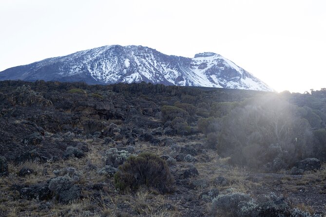 7 Days Kilimanjaro Climbing | Hiking Tour via the Lemosho Route - Day 4: Barranco Wall and the Karanga Valley