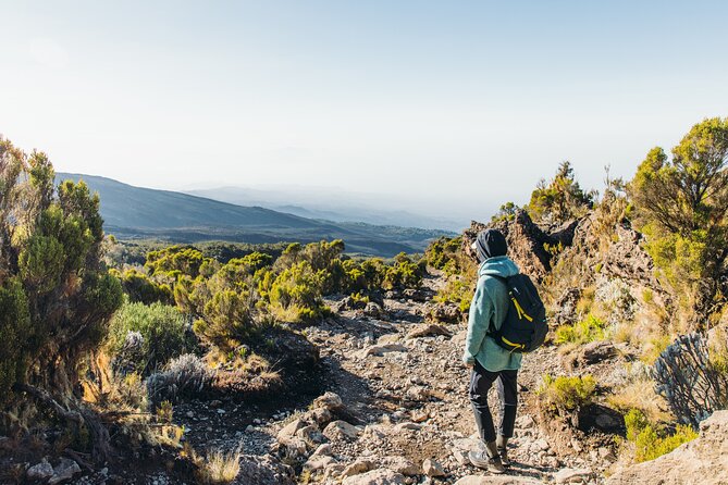 7 Days Kilimanjaro trek via Machame route - Day 4: Scrambling over Barranco Wall