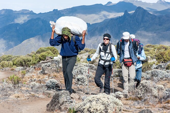 7 Days Kilimanjaro trek via Machame route - Day 7: Forest descent to Mweka Gate