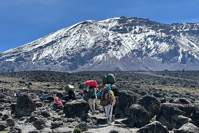 7 Days Kilimanjaro Trekking Machame Route - Key points to know before you book
