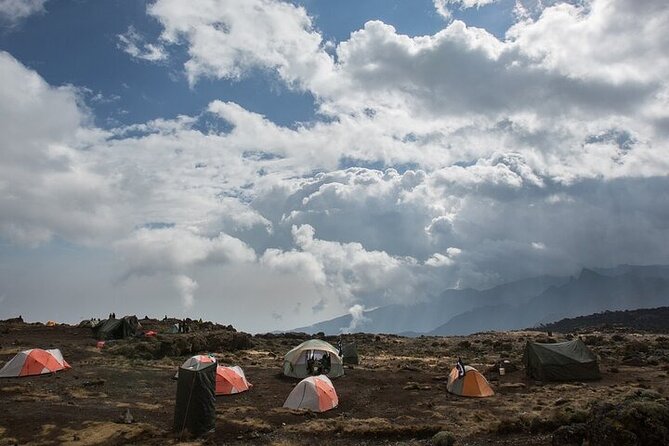 7 Days Kilimanjaro Trekking Machame Route - Day 1: Machame Gate and the rainforest