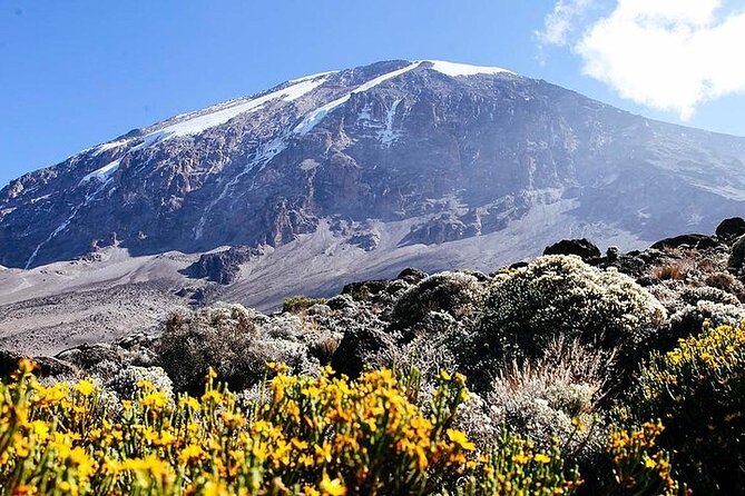 7 Days Kilimanjaro Trekking Machame Route - Day 5: Karanga to Barafu Base Camp