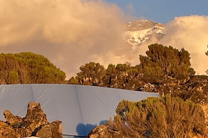 7 Days Kilimanjaro Trekking Machame Route - Day 2: Shira Plateau and the first real altitude gain