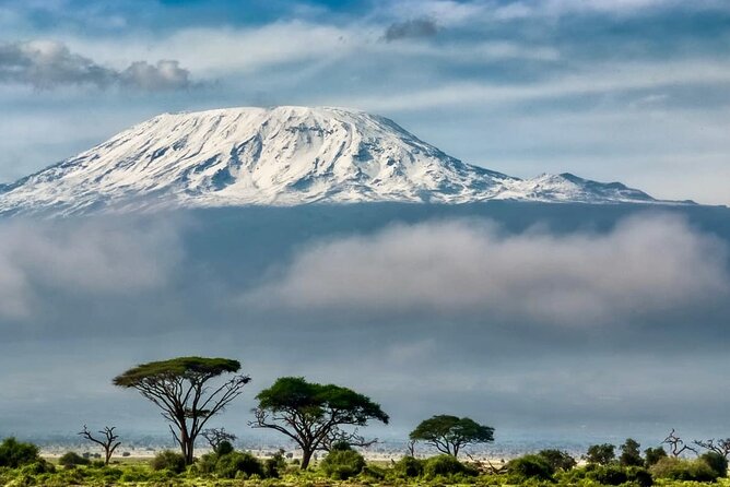 7 Days Kilimanjaro via Machame route affordable price - Day 2: Leaving the forest for Shira Camp