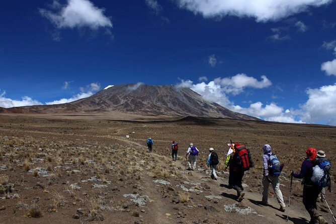 7 Days Kilimanjaro via Machame route affordable price - Guides, food, and the feel of the operation