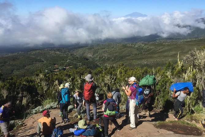 7 days Lemosho route - Why Lemosho is a strong route choice