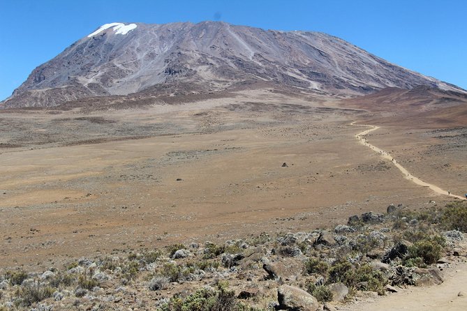 7 days Lemosho route - Summit night: Stella Point and Uhuru Peak