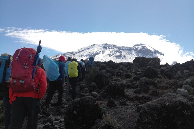 7 days Lemosho route Climbing Mt.Kilimanjaro - Day three: a full acclimatization day on Shira