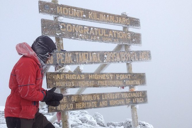 7 days Lemosho route Climbing Mt.Kilimanjaro - Day seven: rainforest descent and return to Moshi