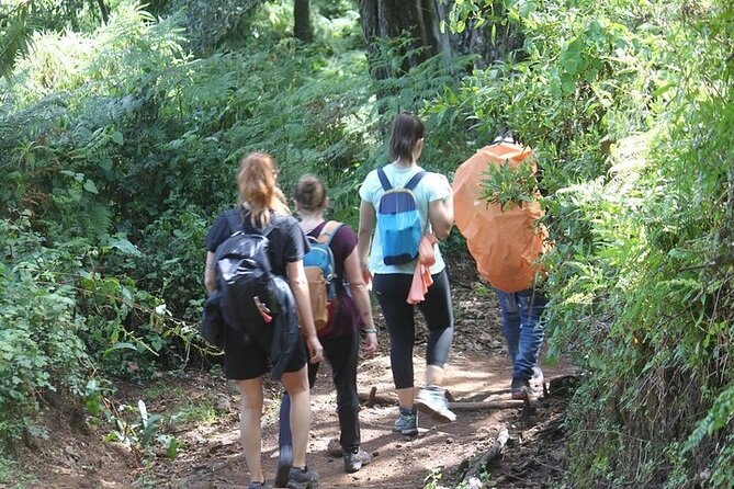 7 Days Lemosho Route Kilimanjaro Climbing | Solely Tours - Day 3: Lava Tower and the descent to Barranco