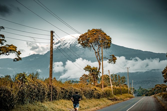 7 Days Machame route - Kilimanjaro - Day Seven: Mweka Gate and the Return to Moshi