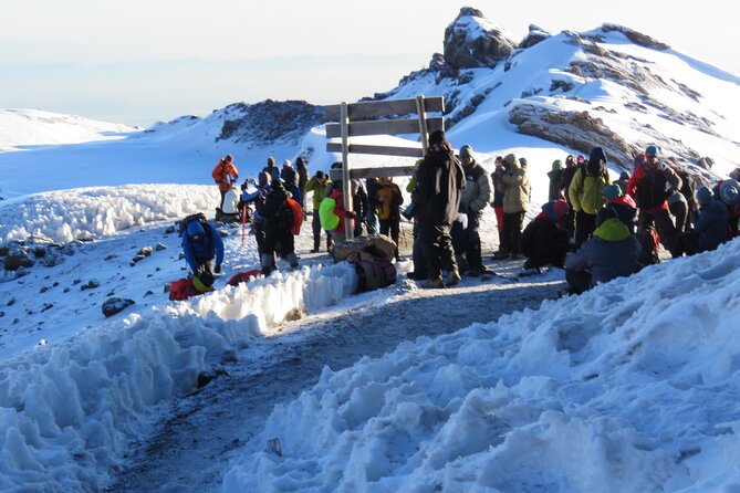 7 Days Machame Route Kilimanjaro Hiking | Climbing Tour - What the seven-day Machame climb is really like