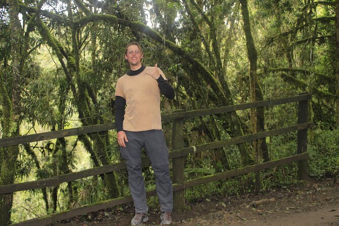 7 Days Machame Route Kilimanjaro Hiking | Climbing Tour - Day 4: Climbing the Barranco Wall