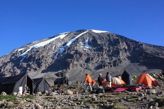 7 Days Machame Route Kilimanjaro Trekking - Key points to know before you book