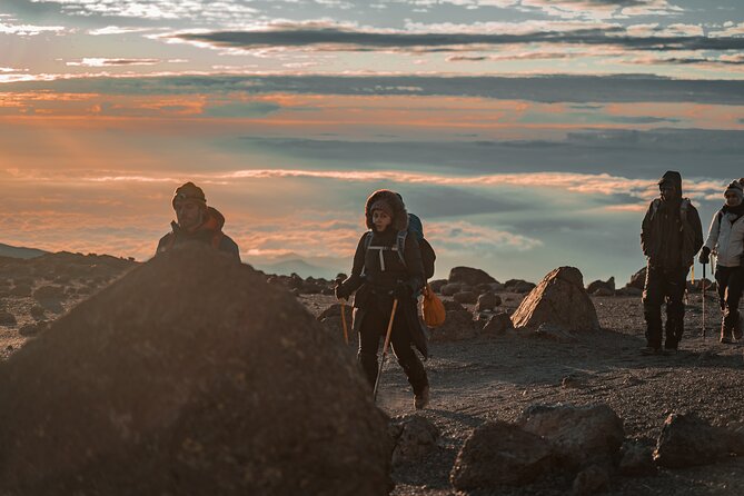 7 Days Machame route - Kilimanjaro - Day One: Coffee Farms to Machame Camp