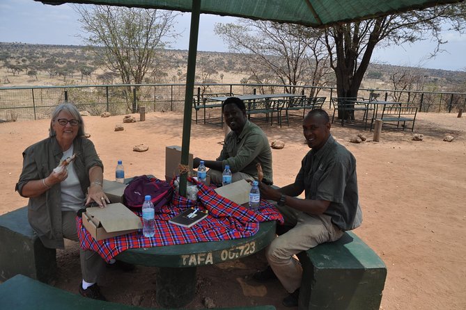 7 Days Migration Crossing in Mara River Northern Serengeti - Day 7: Airport transfer and a possible Kilimanjaro view