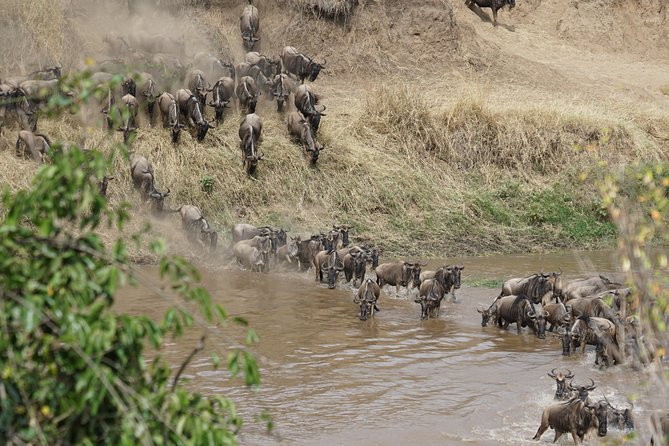 7 Days Migration Crossing in Mara River Northern Serengeti - Day 2: Five hours into the Serengeti