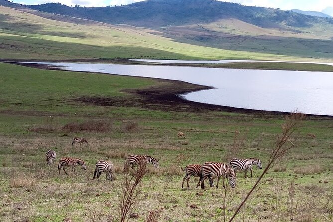 7 days Mt Kilimanjaro,Tarangire NP, Ngorongoro, Serengeti NP, Lake Manyara NP - Why this seven-day route works