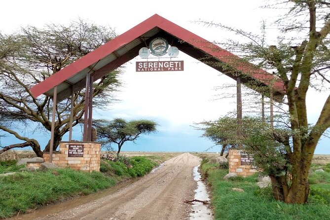 7 days Mt Kilimanjaro,Tarangire NP, Ngorongoro, Serengeti NP, Lake Manyara NP - Day 2: Tarangire and its elephant herds