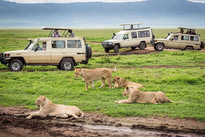 7-Days Private Midrange Safari; Serengeti & Ngorongoro Crater - Day 3: The long road into the Serengeti