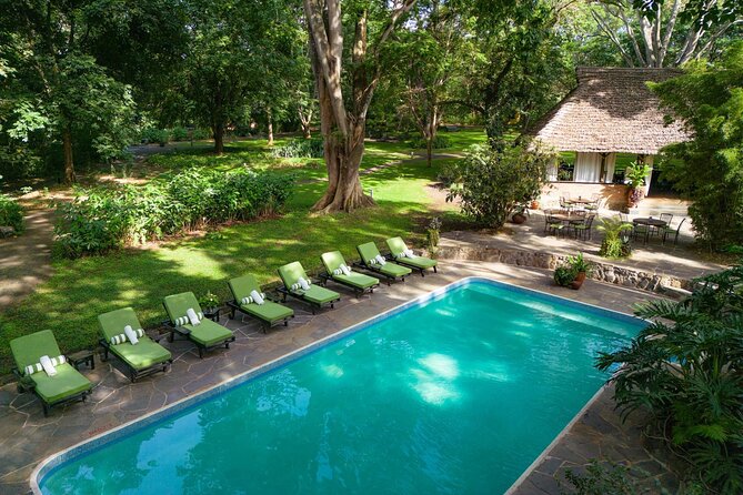 7-Days Private Midrange Safari; Serengeti & Ngorongoro Crater - Day 4: Early wildlife viewing on the Serengeti plains
