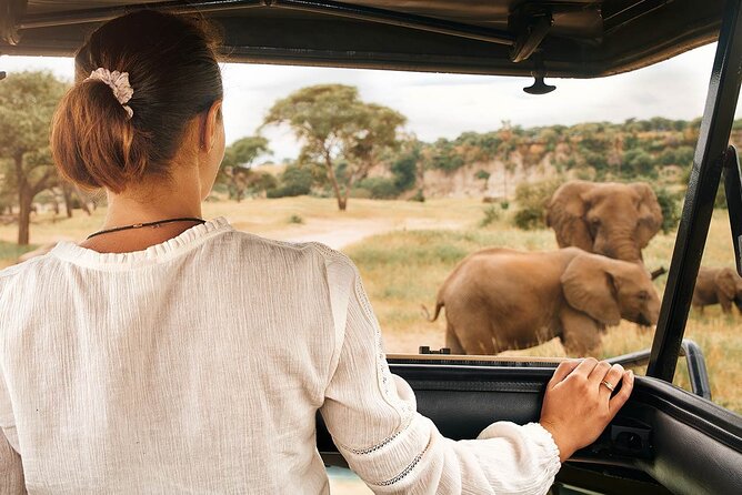 7-Days Private Midrange Safari; Serengeti & Ngorongoro Crater - Day 5: Leaving the Serengeti for Ngorongoro