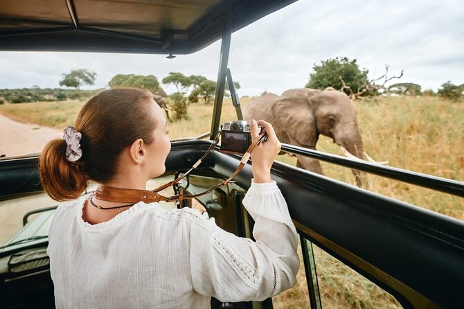 7-Days Private Midrange Safari; Serengeti & Ngorongoro Crater - Day 7: Returning to Arusha and the airport