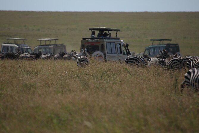 7 Days Private Serengeti Wildebeest Migration Tour - Day 1 in Arusha: an easy landing
