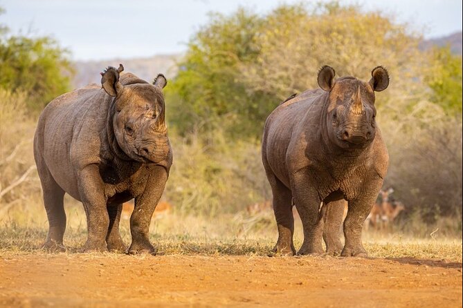7 Days Rhino Ngorongoro Crater Safari Tour - Why this route works for a first Tanzania safari