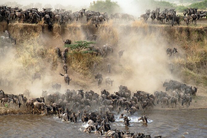 7 days safaris to see great migration - Days 4 and 5: Ndutu and the heart of the migration plan