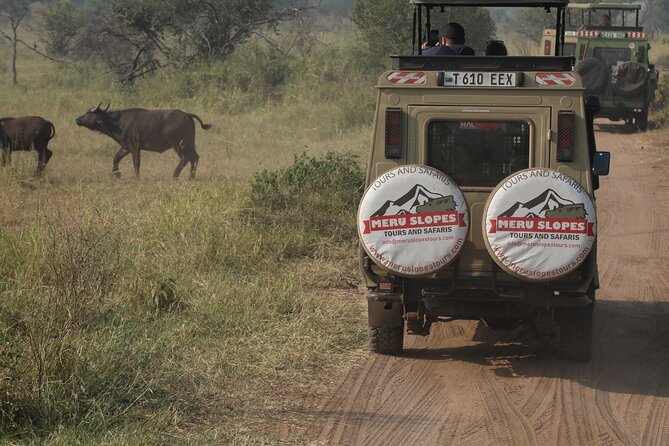7 Days Serena Experience to Serengeti Great Migration - Day 1: A gentle arrival in Arusha