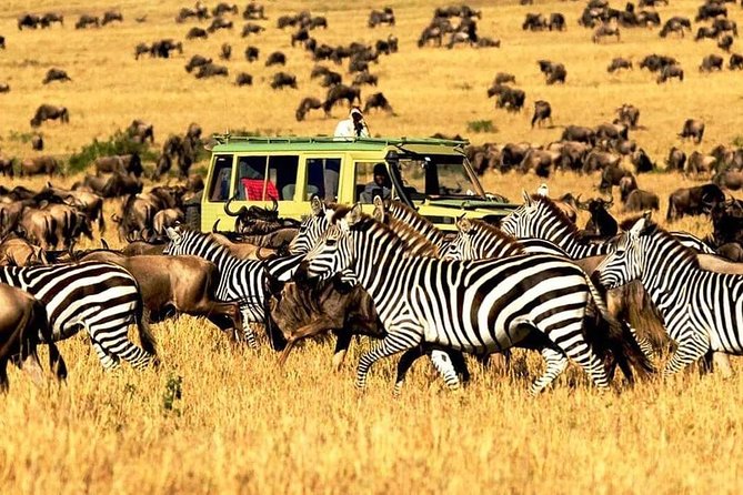 7 Days Tanzania Luxury Safaris - Why this seven-day route works