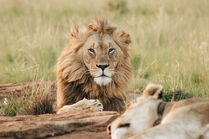 7 Days Tanzania Luxury Safaris - Days 4 and 5: Give Serengeti the time it deserves