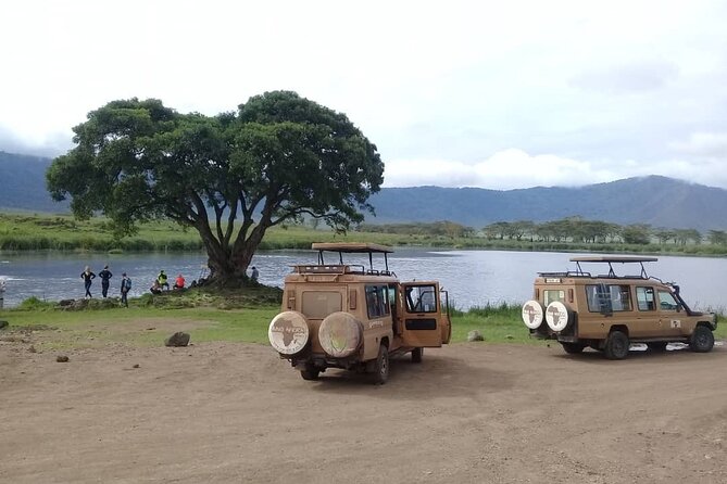 7 Days Tanzania Mid-range lodge safari - What this Tanzania safari is really offering