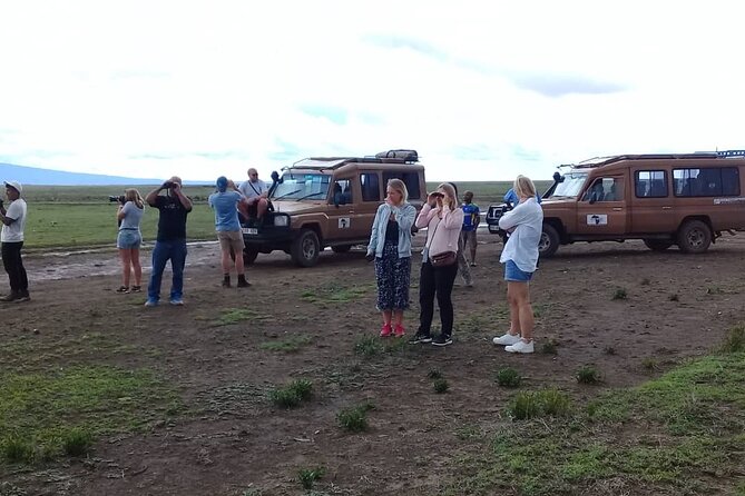 7 Days Tanzania Mid-range lodge safari - Day 4: Olduvai Gorge and the Serengeti