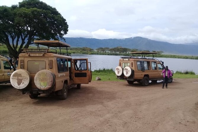 7 Days Tanzania Mid-range lodge safari - Guides, vehicles, and the feel of a private trip