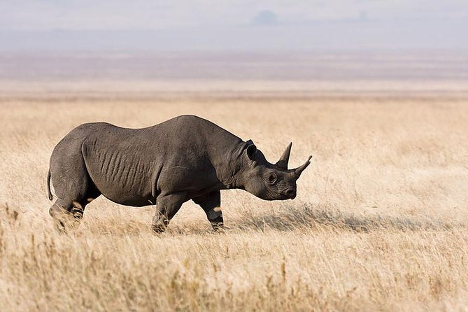 7 Days Tarangire, Serengeti, Ngorongoro & Manyara Camping Safari Tour Tanzania - Lake Manyara completes the four-park mix